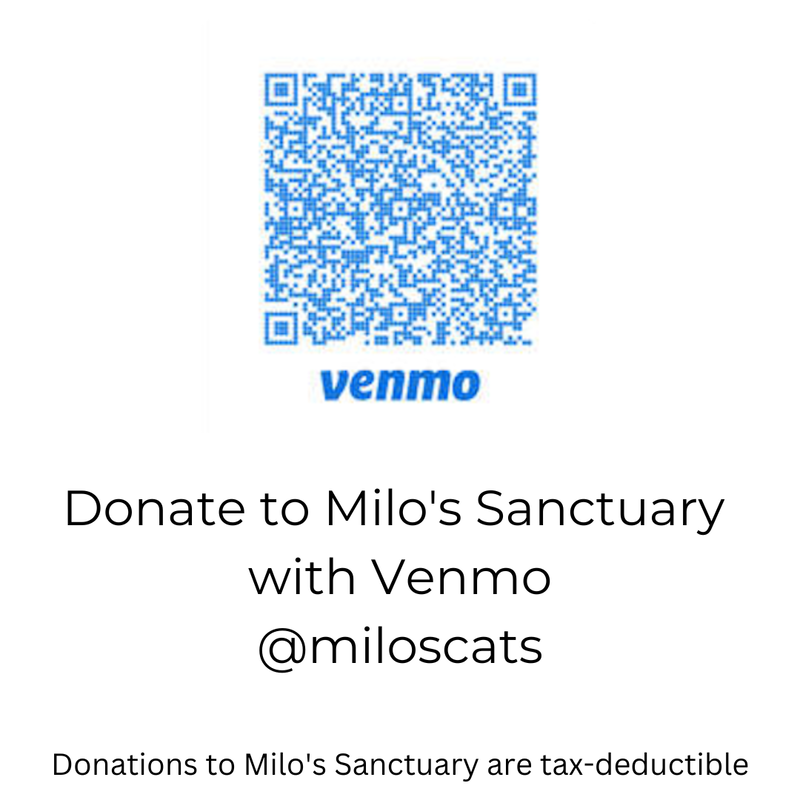 Donate with Venmo @miloscats
