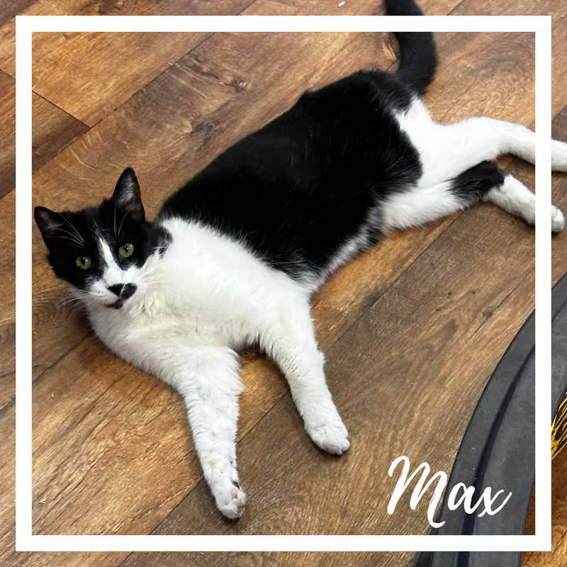 Max