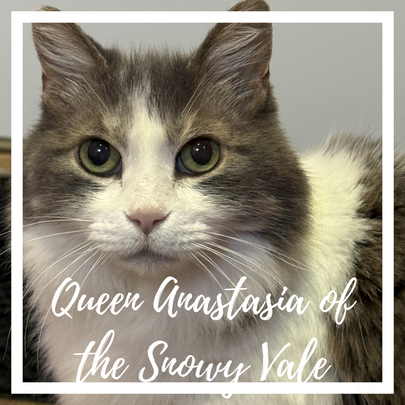 Queen Anastasia